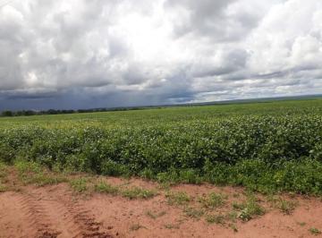Imagem 1 · Fazenda