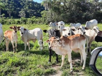 Imagem 1 · Fazenda