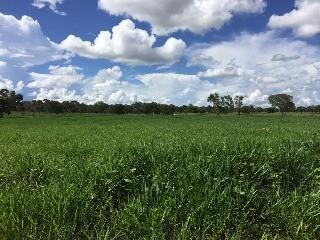 Imagem 1 · Fazenda