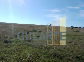 Imagem 1 · Fazenda