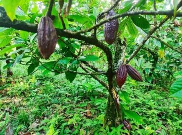 Imagem 1 · Fazenda