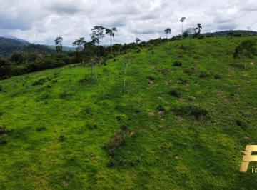 Imagem 1 · Fazenda