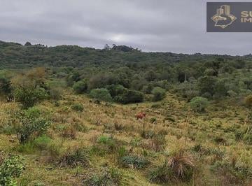 Imagem 1 · Fazenda