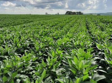 Imagem 1 · Fazenda