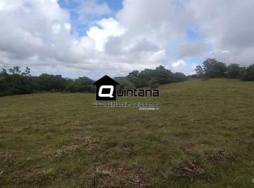 Imagem 1 · Fazenda