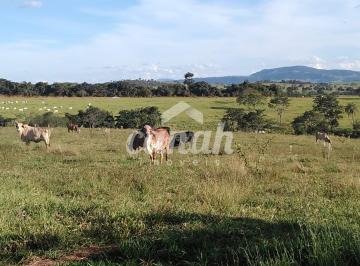 Imagem 1 · Fazenda