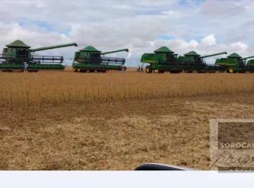 Imagem 1 · Fazenda