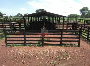 Imagem 1 · Fazenda