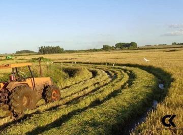 Imagem 1 · Fazenda