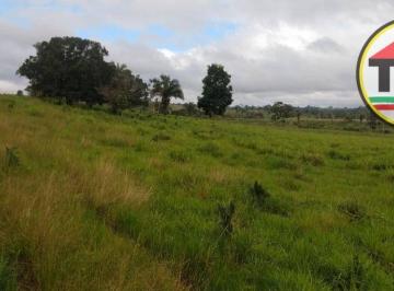 Imagem 1 · Fazenda