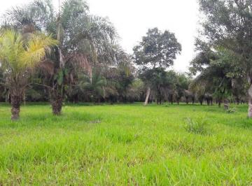 Imagem 1 · Fazenda