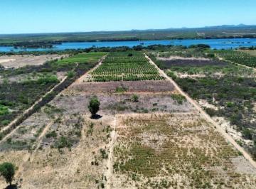 Imagem 1 · Fazenda