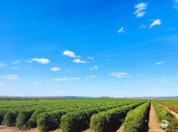 Imagem 1 · Fazenda
