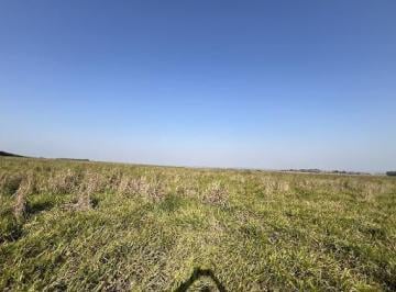 Imagem 1 · Fazenda