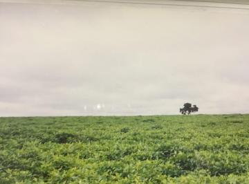 Imagem 1 · Fazenda
