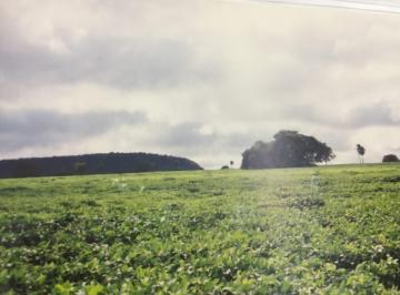 Imagem 1 · Fazenda