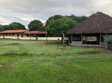 Imagem 1 · Fazenda