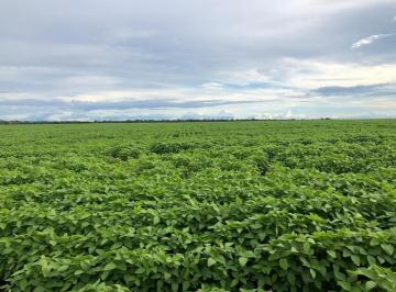 Imagem 1 · Fazenda