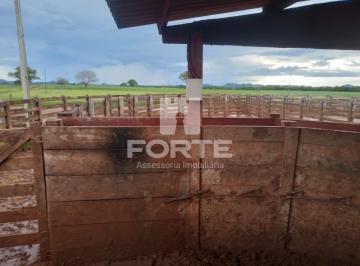 Imagem 1 · Fazenda