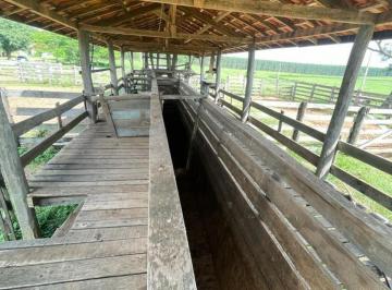 Imagem 1 · Fazenda