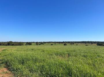 Imagem 1 · Fazenda