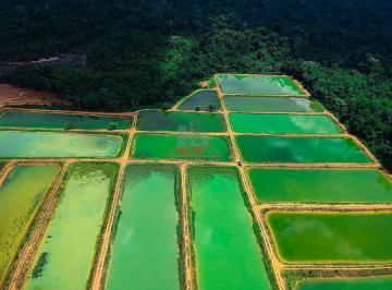 Imagem 1 · Fazenda