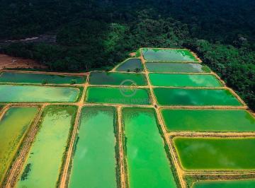 Imagem 1 · Fazenda para venda em Centro, Iranduba