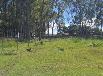 Imagem 1 · Fazenda