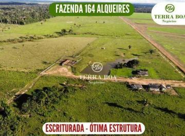 Imagem 1 · Fazenda