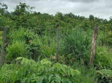 Imagem 1 · Fazenda
