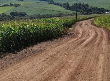 Imagem 1 · Fazenda para venda em Centro, Ibiporã