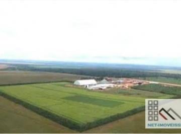 Imagem 1 · Fazenda