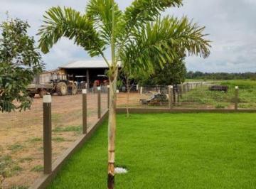 Imagem 1 · Fazenda