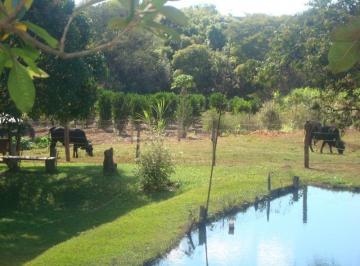Imagem 1 · Fazenda