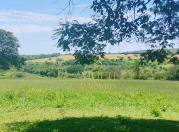 Imagem 1 · Fazenda