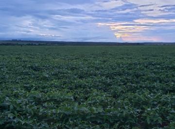 Imagem 1 · Fazenda