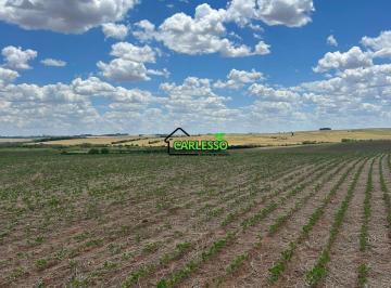 Imagem 1 · Fazenda