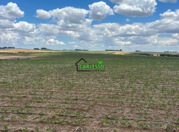 Imagem 1 · Fazenda