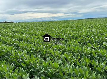 Imagem 1 · Fazenda