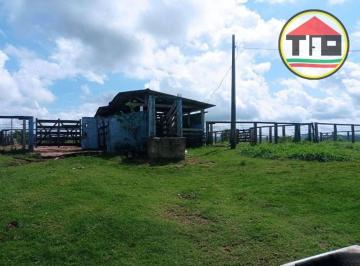 Imagem 1 · Fazenda