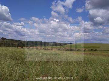 Imagem 1 · Fazenda