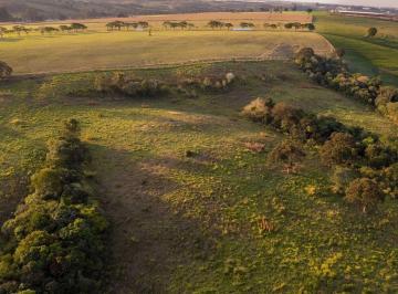 Imagem 1 · Fazenda