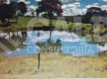 Imagem 1 · Fazenda