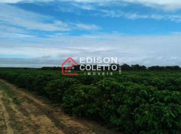 Imagem 1 · Fazenda