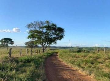Imagem 1 · Fazenda