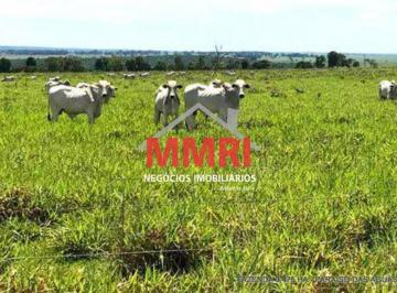 Imagem 1 · Fazenda