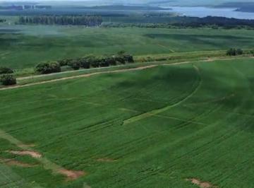Imagem 1 · Fazenda