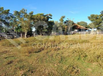 Imagem 1 · Fazenda