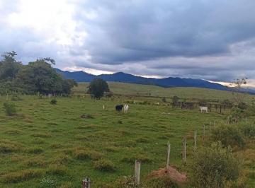 Imagem 1 · Fazenda