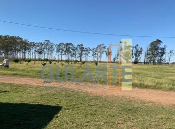 Imagem 1 · Fazenda